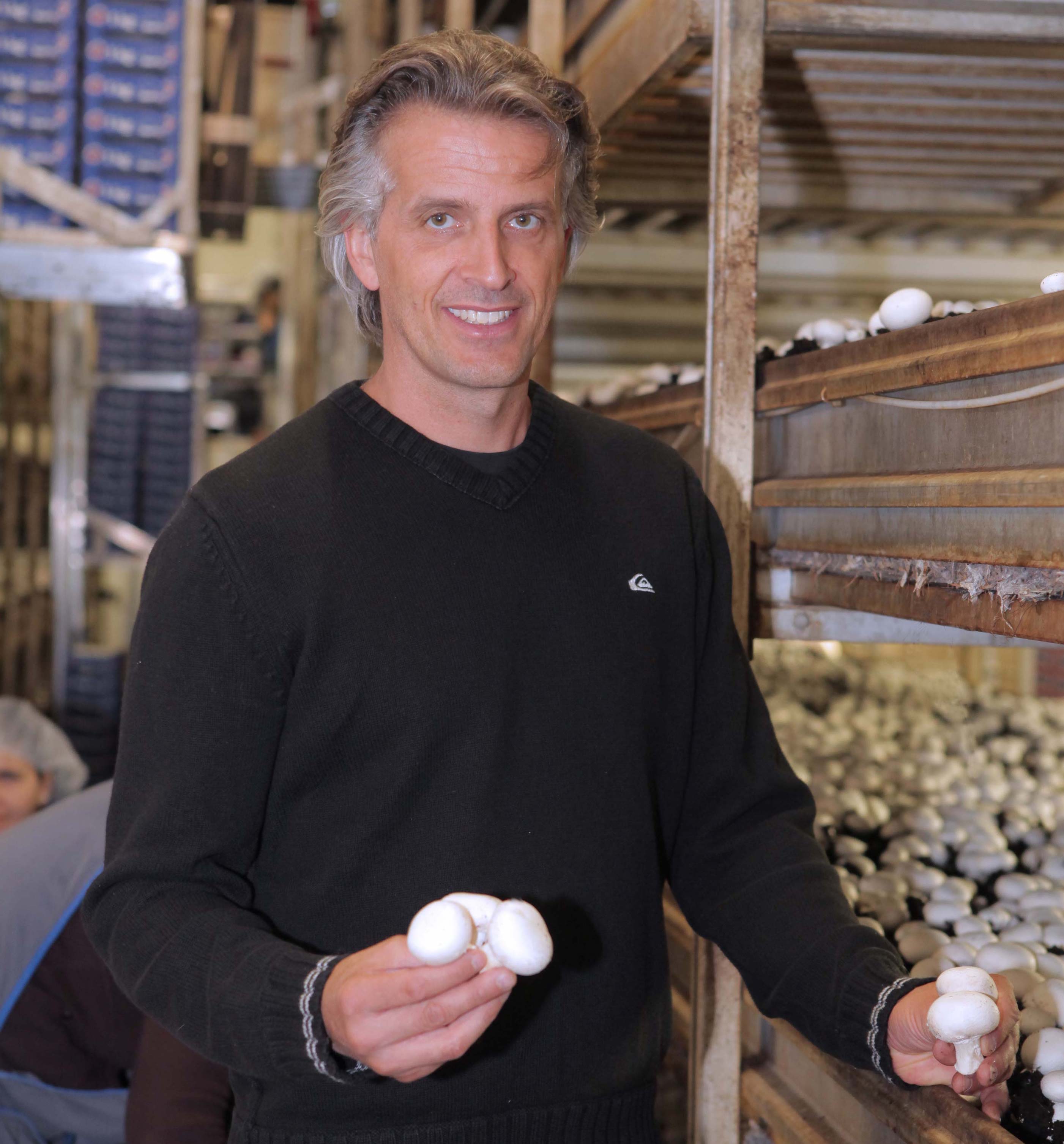 Un Aiglon nommé nouveau président de l’Union suisse des producteurs de champignons